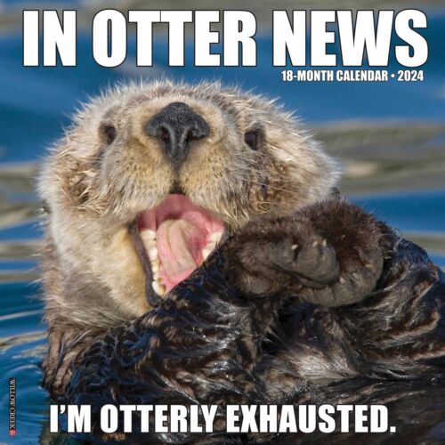 in-otter-news-calendar-2024-humour-month-to-view-ebay