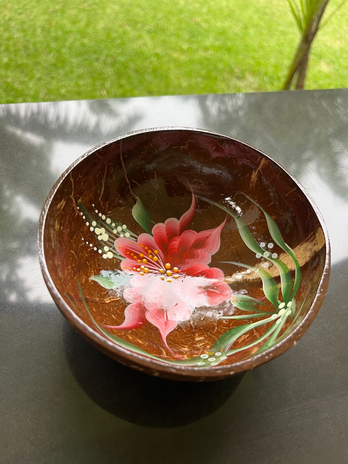 Schale aus natürlicher Kokosnussschale, Aufbewahrungsschale, Servierschale