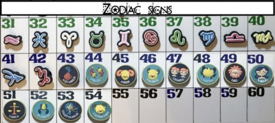 Zodiac/horoscope themed unbranded shoe charms, ready to ship, US seller