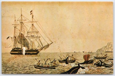 American Tempera on Ink Whaling Scene Postcard Forbes Collection