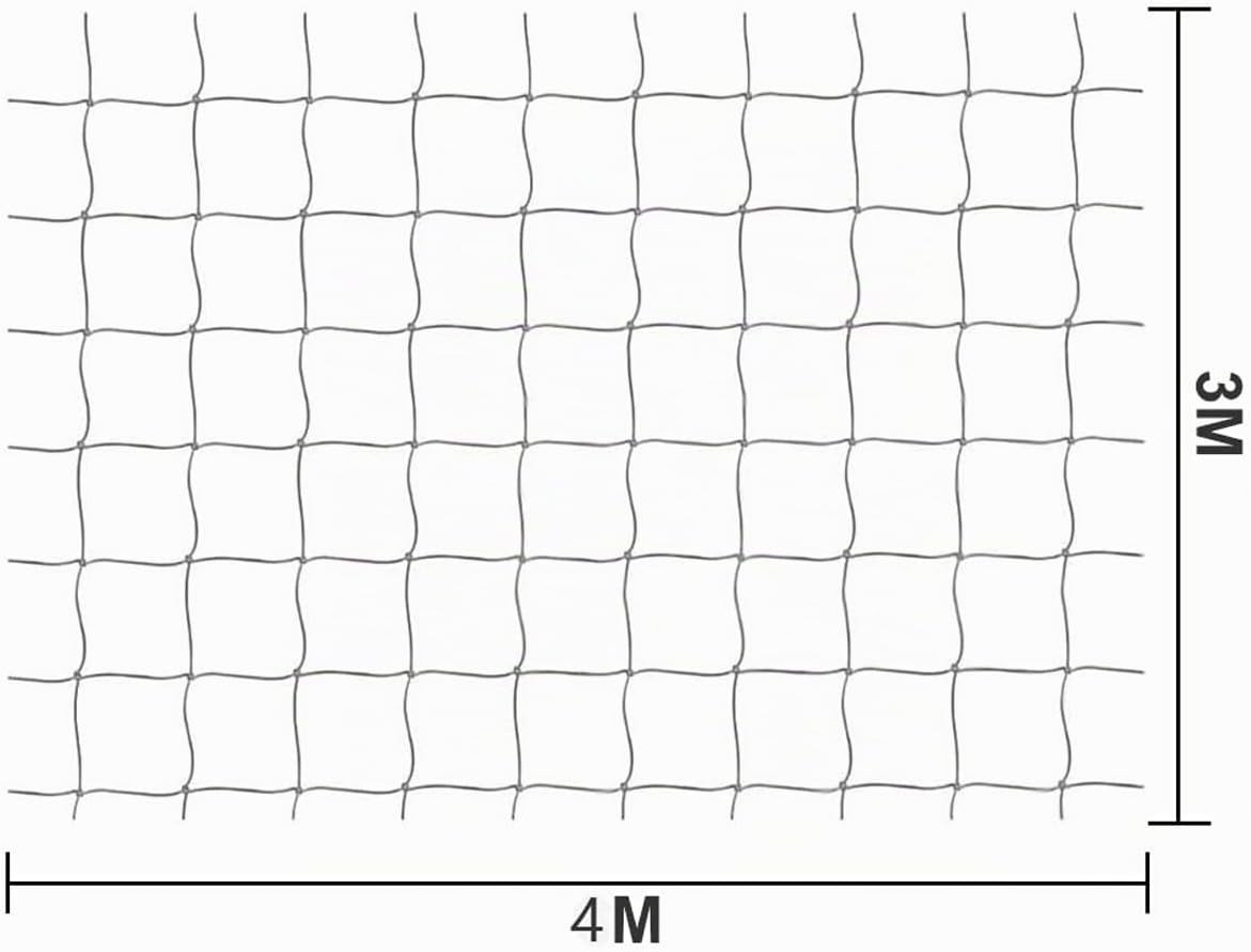 Picture 4