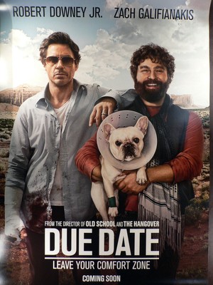 Due Date - Teaser - Int. Filmposter 70x100cm gerollt