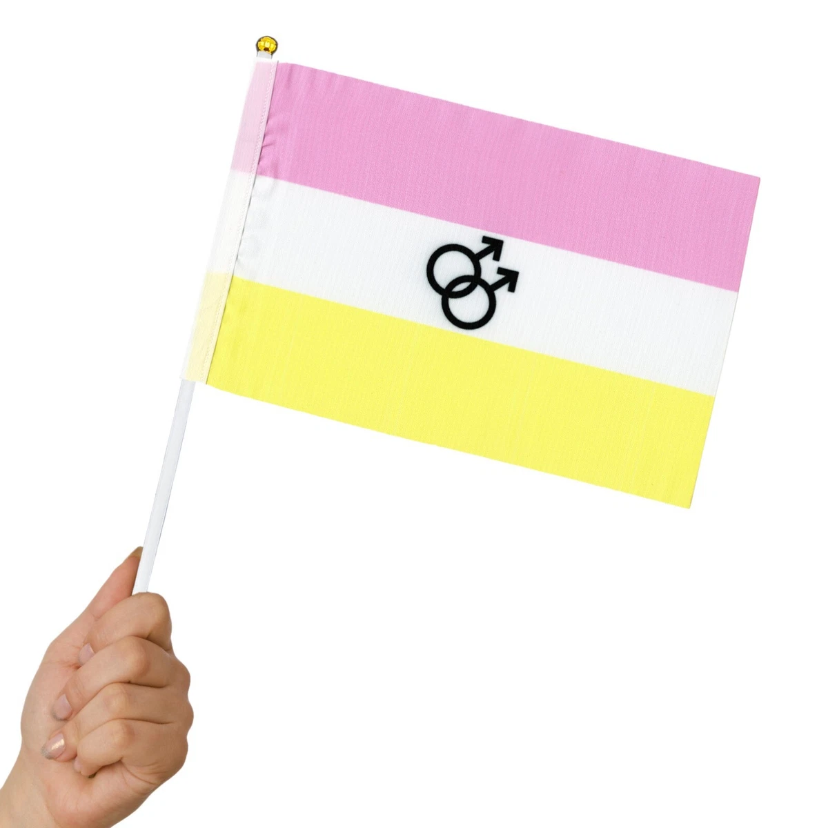 TWINK Gay Pride Mini Stick Flags - LGBTQ+ Small Hand Held Party Parade Flag  | eBay