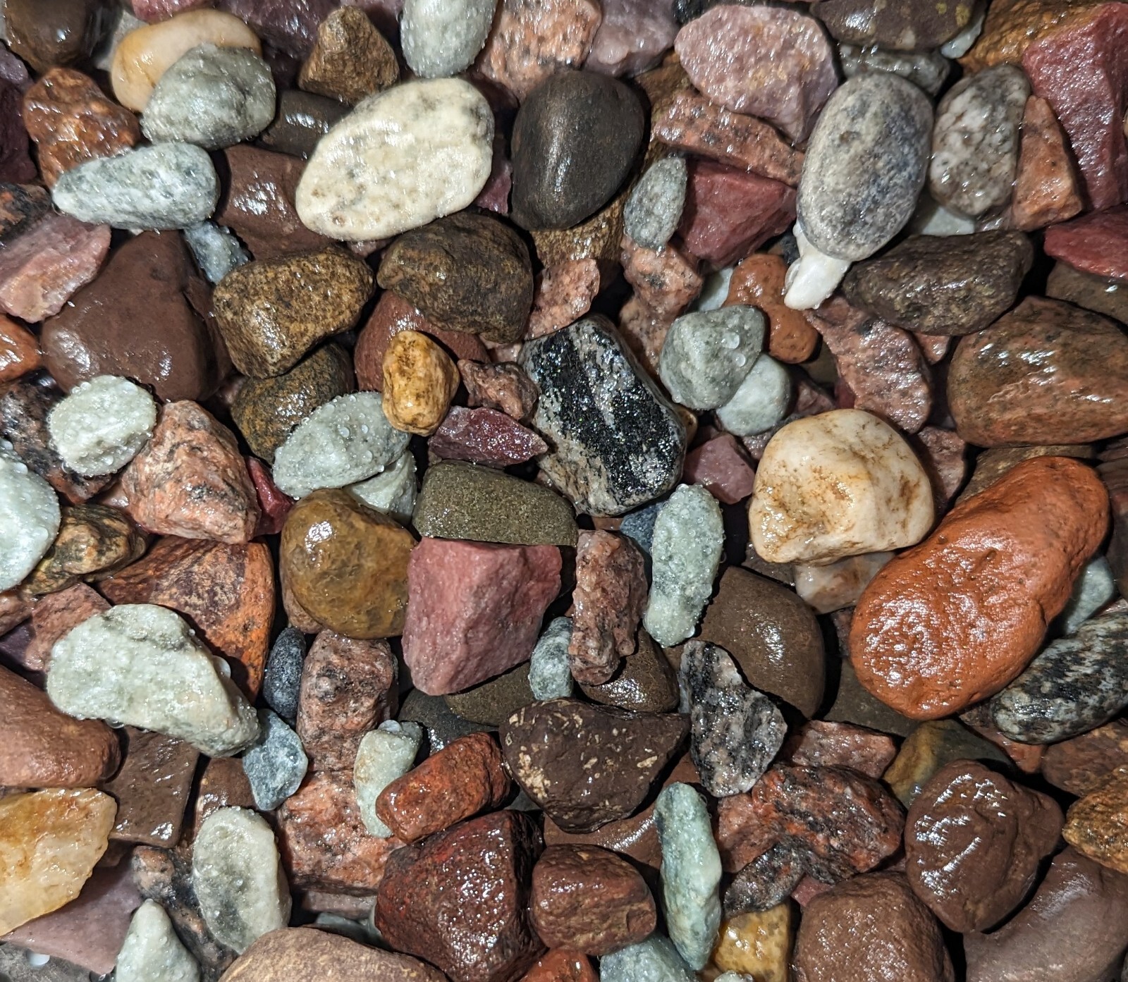 5 Pounds River Rocks Pebbles Garden Outdoor Decorative Stones eBay