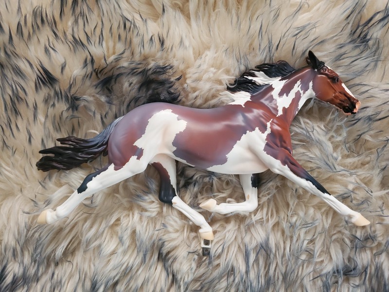 Breyer Constantia 2022 Premier Club New Sculpt