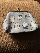 Blue Coin Pouch Change Purse With Owls All Over