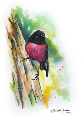 Painting Bird Pink Robin Watercolor Original Artwork by Ginna Paola