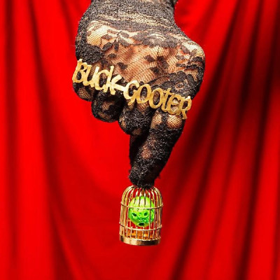 Buck Gooter - Head In A Bird Cage [Orange Vinyl] NEW Sealed Vinyl LP ...