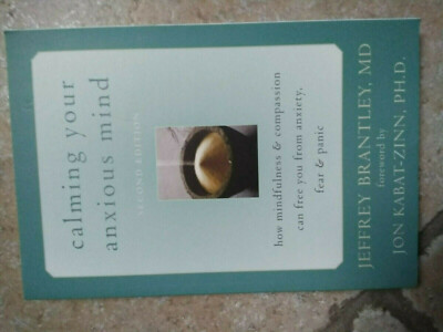 ENGLISCH - PSYCHOLOGIE CALMING YOUR ANXIOUS MIND FEAR PANIC BRANTLEY KABAT ZINN
