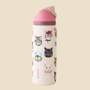 Kuromi Owala | eBay