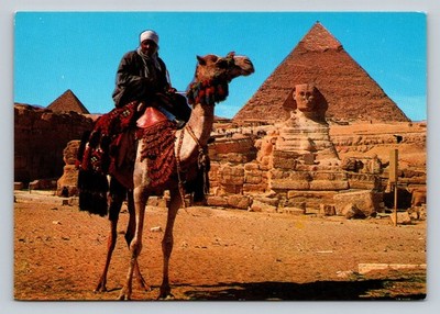 Vintage Egypt Postcard Giza Camel Driver Sphinx & Khafre Pyramid