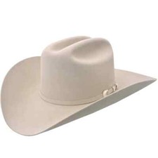 Stetson 10X Shasta Silverbelly Felt Hat With Free Hat Brush 48 profile