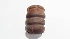 Coil spring rubber mount