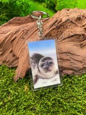 Robbe Baby Seehund 3D Schlüsselanhänger aus Acryl Glücksbringer grau