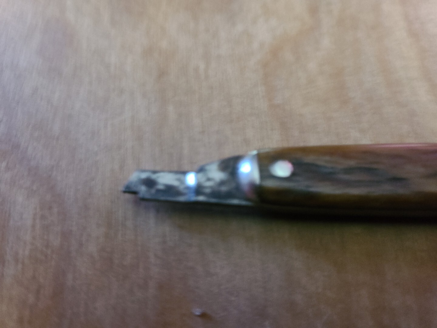 Vintage Remington Pen Knife Nice Bone Scales eBay