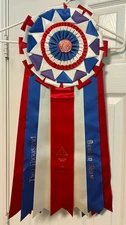 VINTAGE AMERICAN KENNEL CLUB AKC BEST IN SHOW RIBBON ROSETTE 28 " BEAUMONT TX