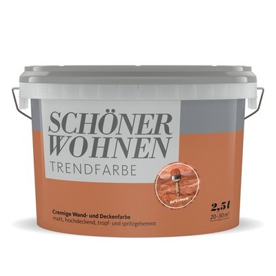 SCHÖNER WOHNEN Trendfarbe Wandfarbe Deckenfarbe arizona 2,5 l