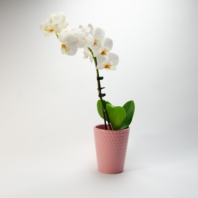 4.75'' Pink Ceramic Honey Comb Geometric Deco Embossed Planter - FREE SHIPPING