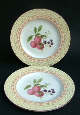 ZWEI Johnson Brothers 2000er Obst Sampler Frühstück SM Speiseteller 23 cm UNBENUTZT