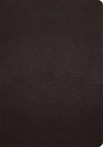 ESV Study Bible - 9781433575921