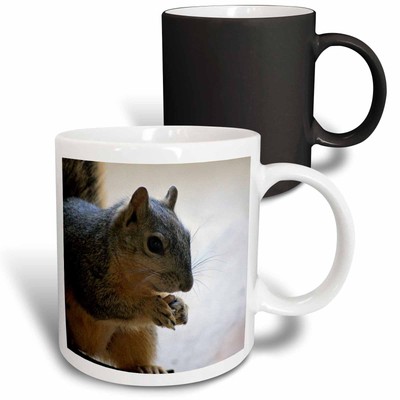 3dRose Brown squirrel enjoying a nut close up Mug