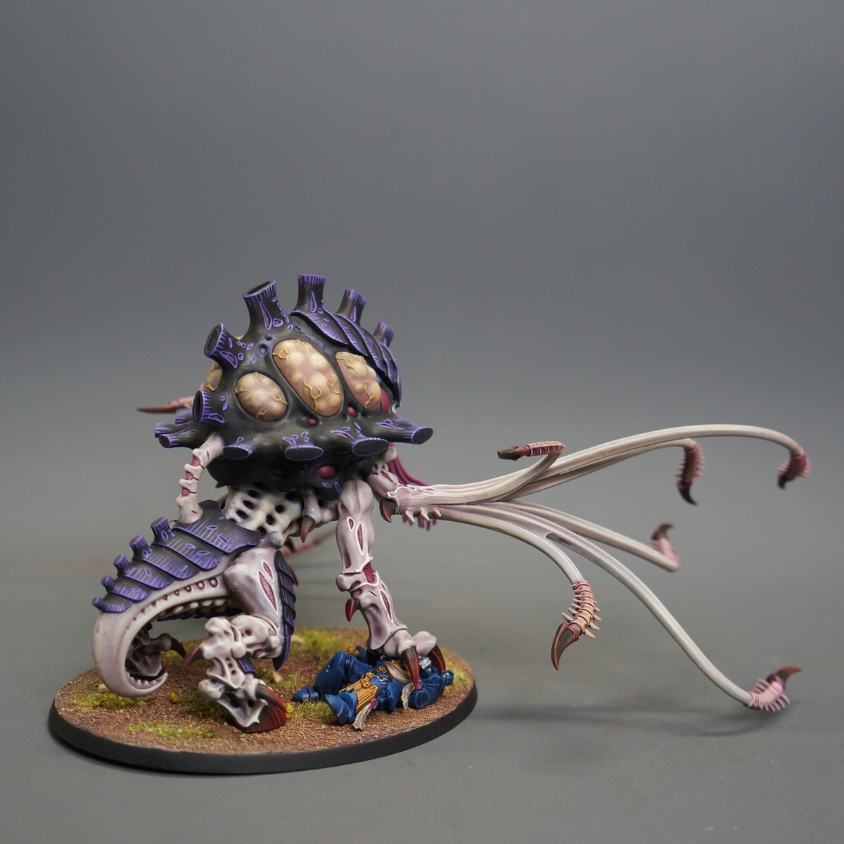 ウォーハンマー４０ｋレヴィアタンボックスのティラニッド側+追加ユニット ウォーハンマー40kレヴィアタンボックスのティラニッド側+追加