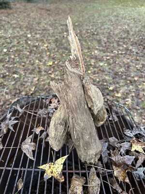 3.14 Ibs. Three Fatwood Pine Knots As Shown. Firewood Lighter Fuel