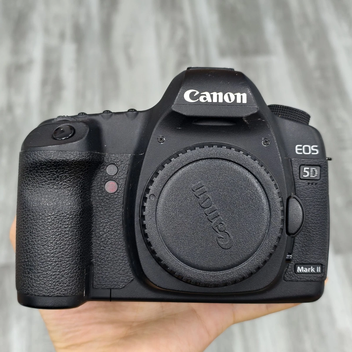 Canon EOS 5D Mark II Body only Digital Cameras for Sale | Shop New