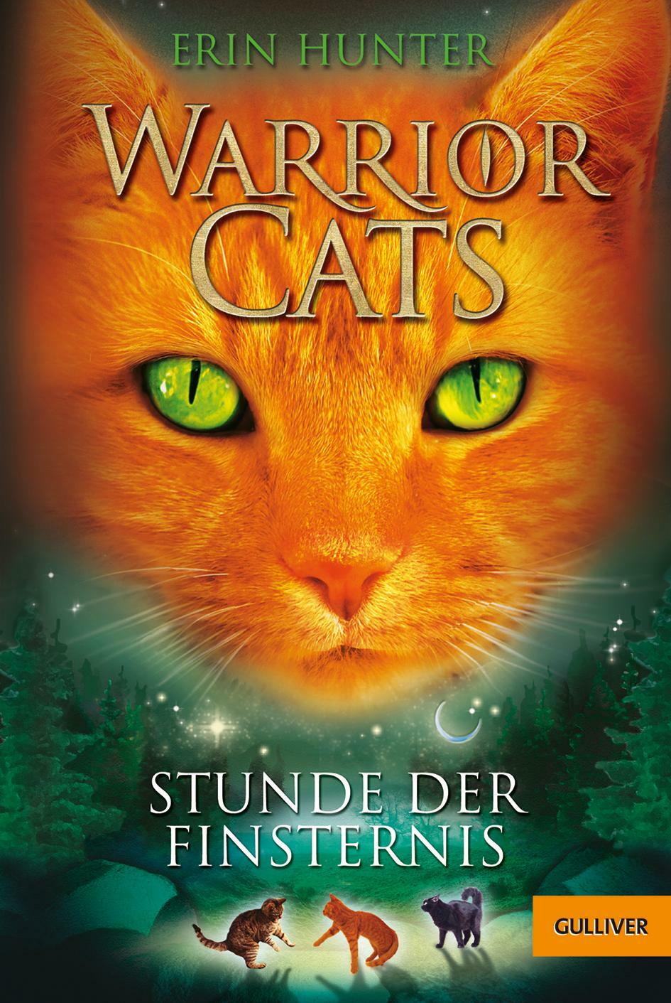 Thumbnail - Warrior Cats Staffel 1/06. Stunde Der Finsternis | Buch |