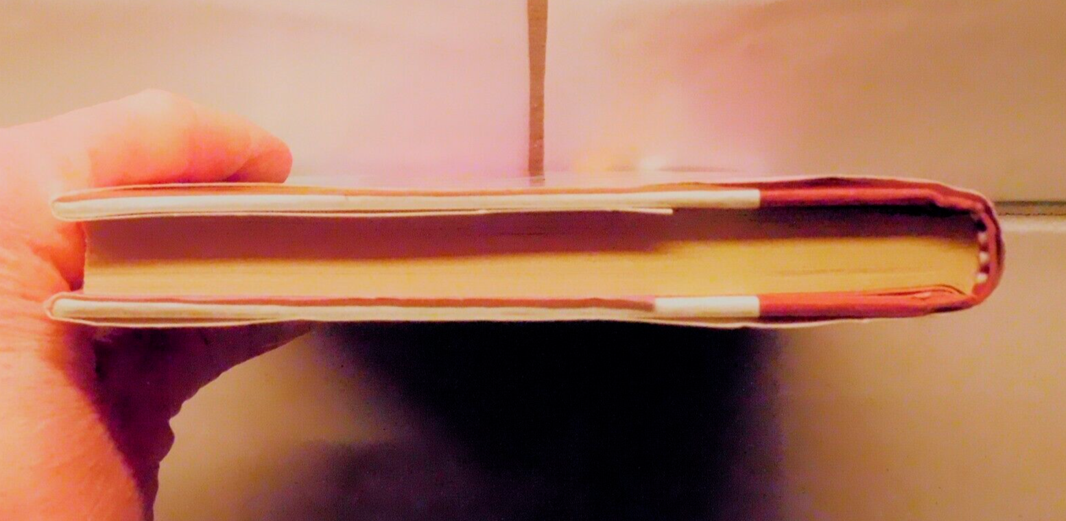 Whatever After Ser. Beauty Queen (Whatever After 7) by Sarah