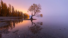 Landscape nature trees forest reflection rocks clear sky Custom Gaming Mat Desk