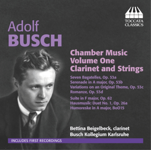 Adolf Busch Adolf Busch: Chamber Music - Volume 1 (CD) Album