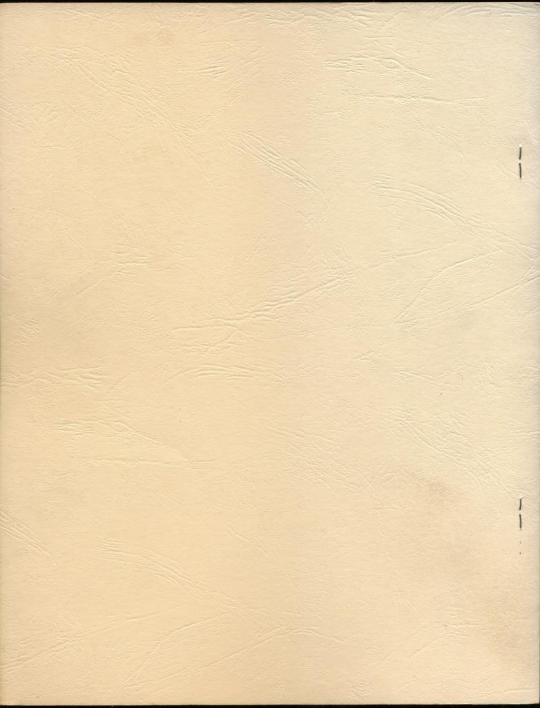 Foto 3 di 3
