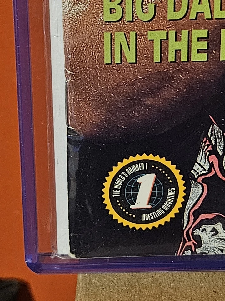 Revista de lucha libre WWF septiembre 94 Anvil Owen Hart World Wrestling Federation Foto 4 de 4