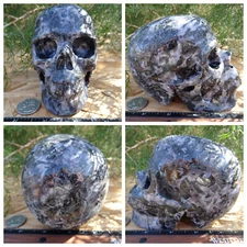 Huge 5" Indigo Gabbro Stone Skull Hand Carved 3.4lb 1555g Big Sculpture Display