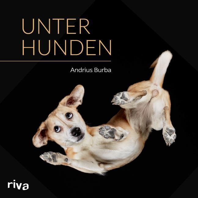 Unter Hunden Andrius Burba