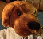 Vintage McGruff The Crime Dog Dakin - 11" FREE SHIP — photo 9