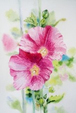 "Malven" Blumen Aquarell 12x8" А4