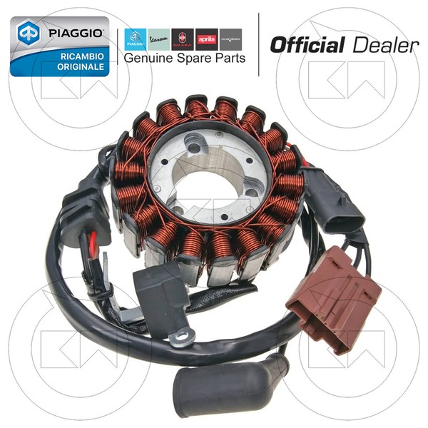 Kompletter Stator Magnet FüR Piaggio MP3 IE 125 2009-image