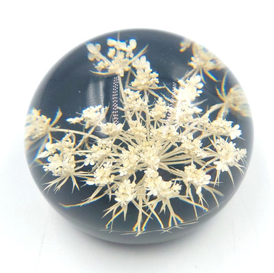 Vintage Tarax Infinity Products Lucite Paperweight With Queen Anne's Lace