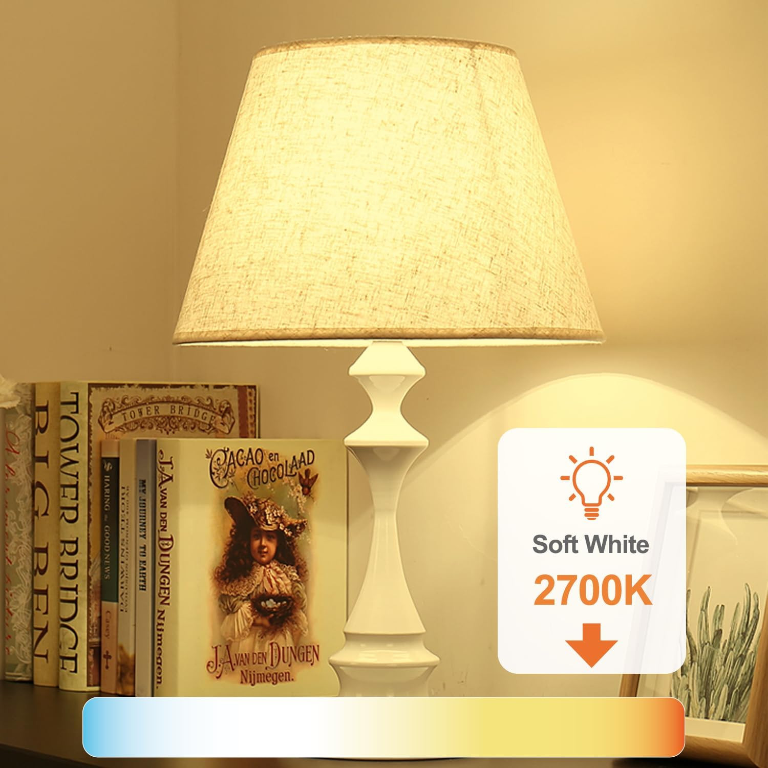 6 Pack A19 LED Light Bulbs, 60 Watt Equivalent LED Bulb, Sof