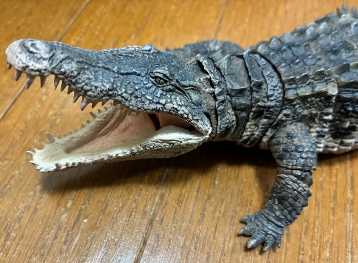 The Diversity of Life on Earth Ultimate Nile Crocodile Light Color