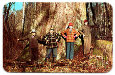 Postcard Oregon and Washington Giant Tree of The Forest