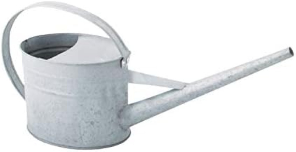 Idea Regalo Giardinaggio: Annaffiatoio Esschert Design Inox 1.5L