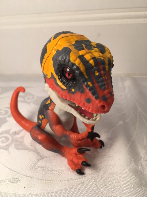 blaze untamed raptor