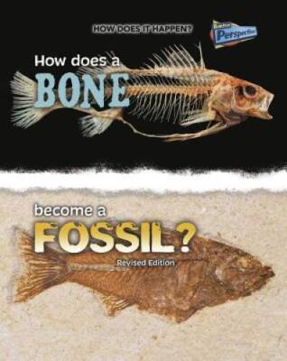 How Does a Bone Become a Fossil (How Does It Happen) - Paperback - GOOD