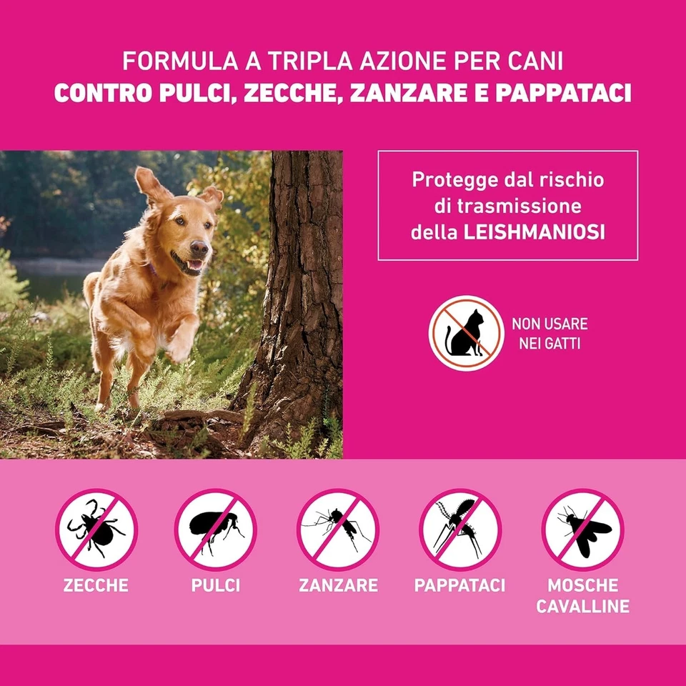 Frontline Tri-Act Dogs 20–40kg - 6 Pipettes Flea & Tick Treatment - Immagine 3 di 4