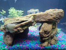 Used Aquarium Item