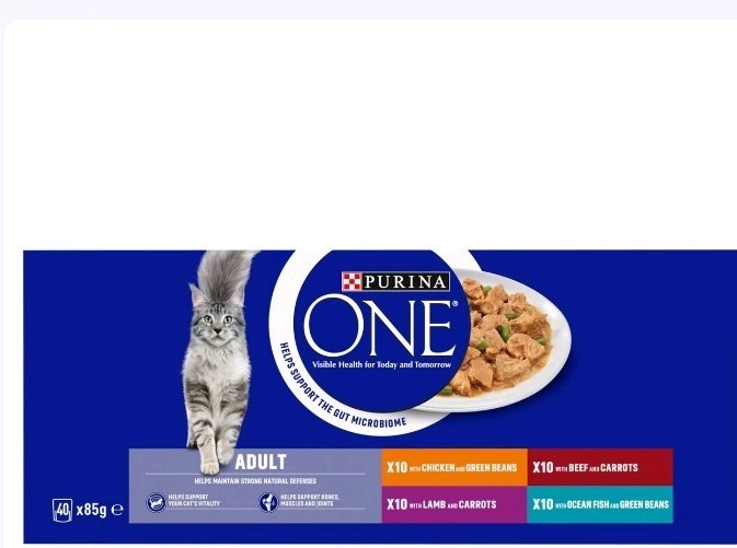Purina ONE Adult Cat Mini Fillets in Gravy Wet Food - 40 x 85g