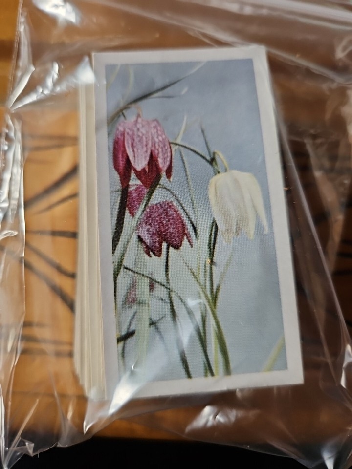 BROOK BOND TEA CARD SET ""WILD FLOWERS"" (1st SERIES 50) VG